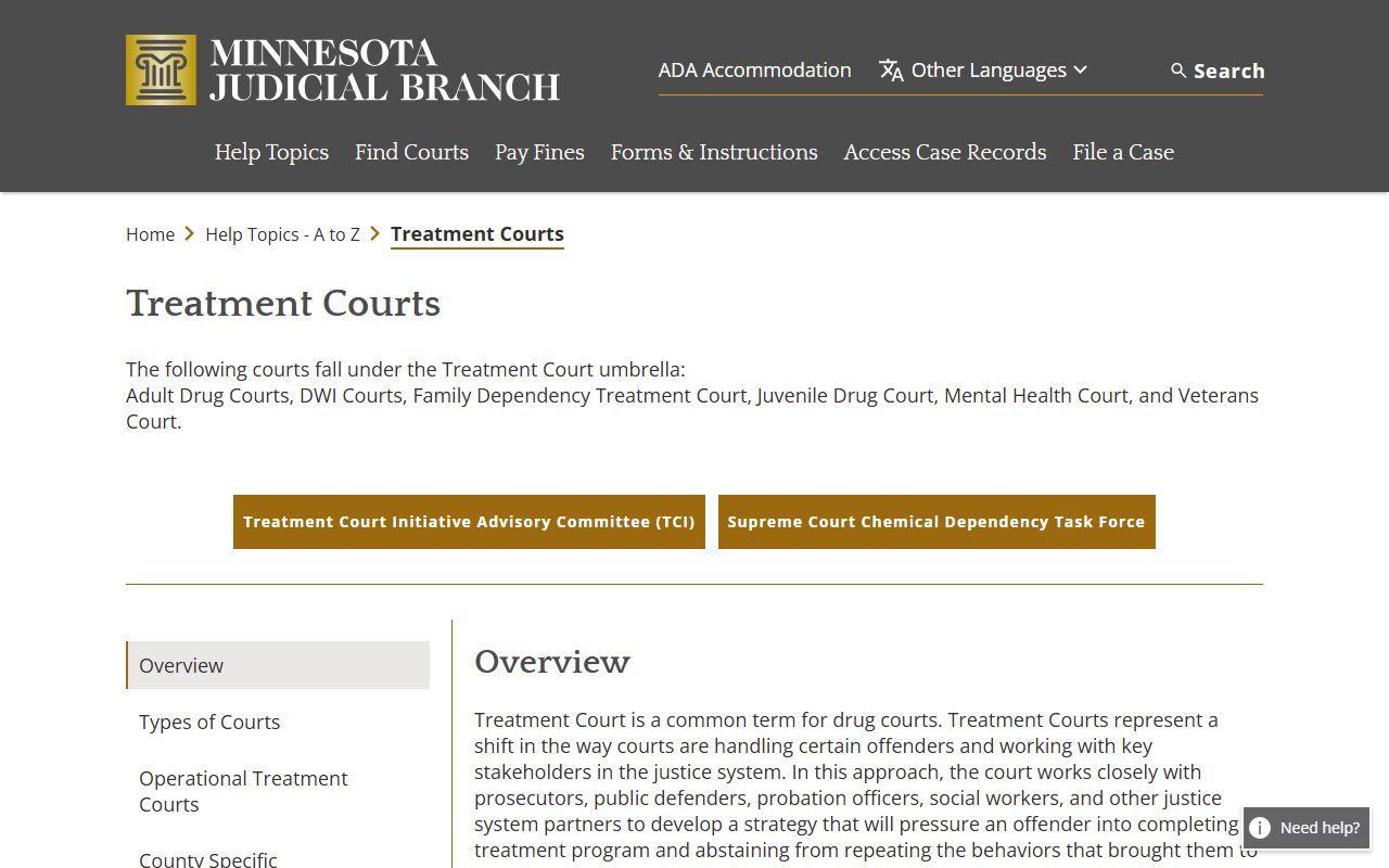 Polk County Court Administrator treatment courts information